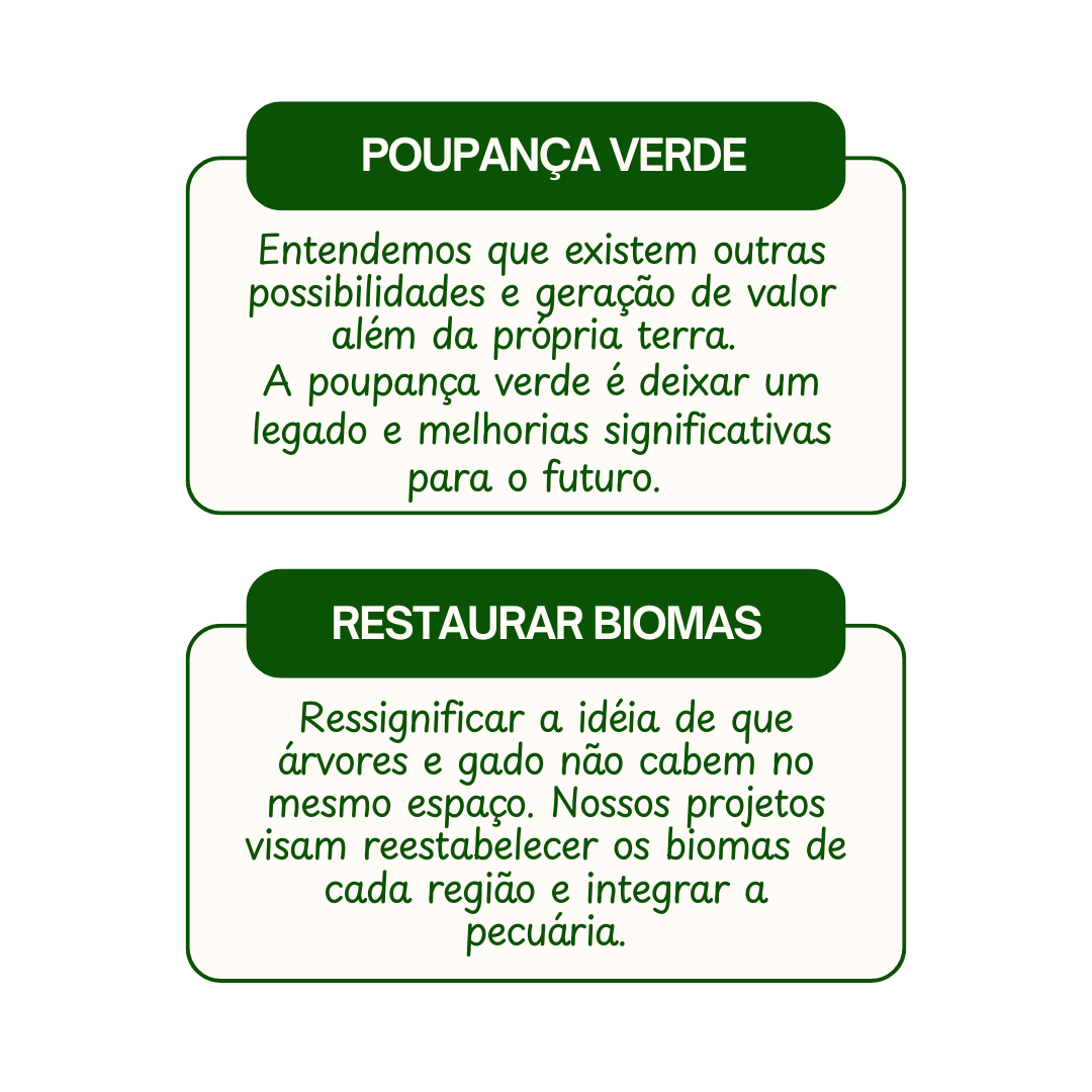 Design sem nome (28)